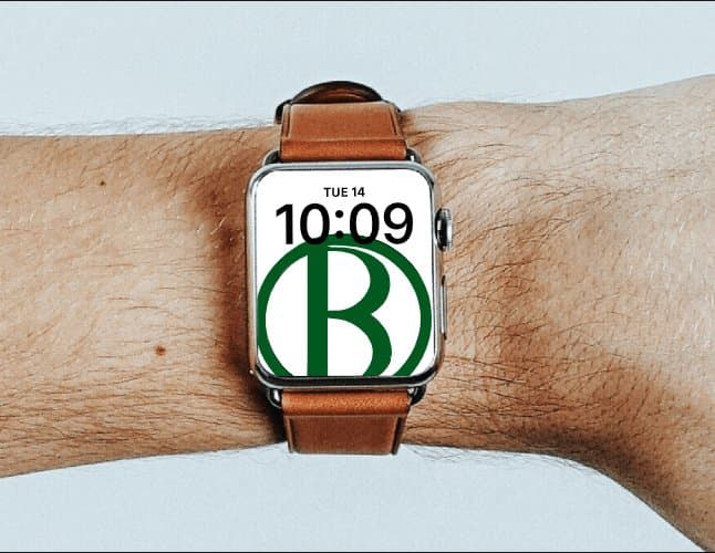 Носители стиля: часы